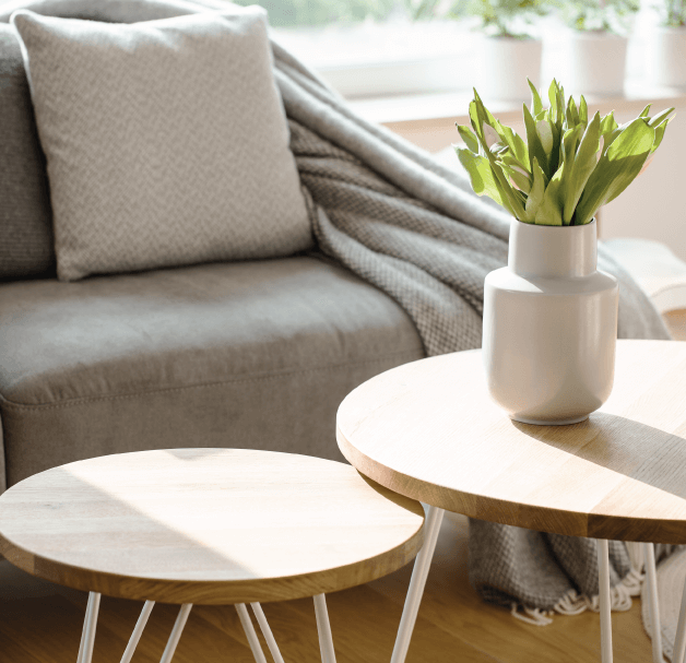 plant on coffee table