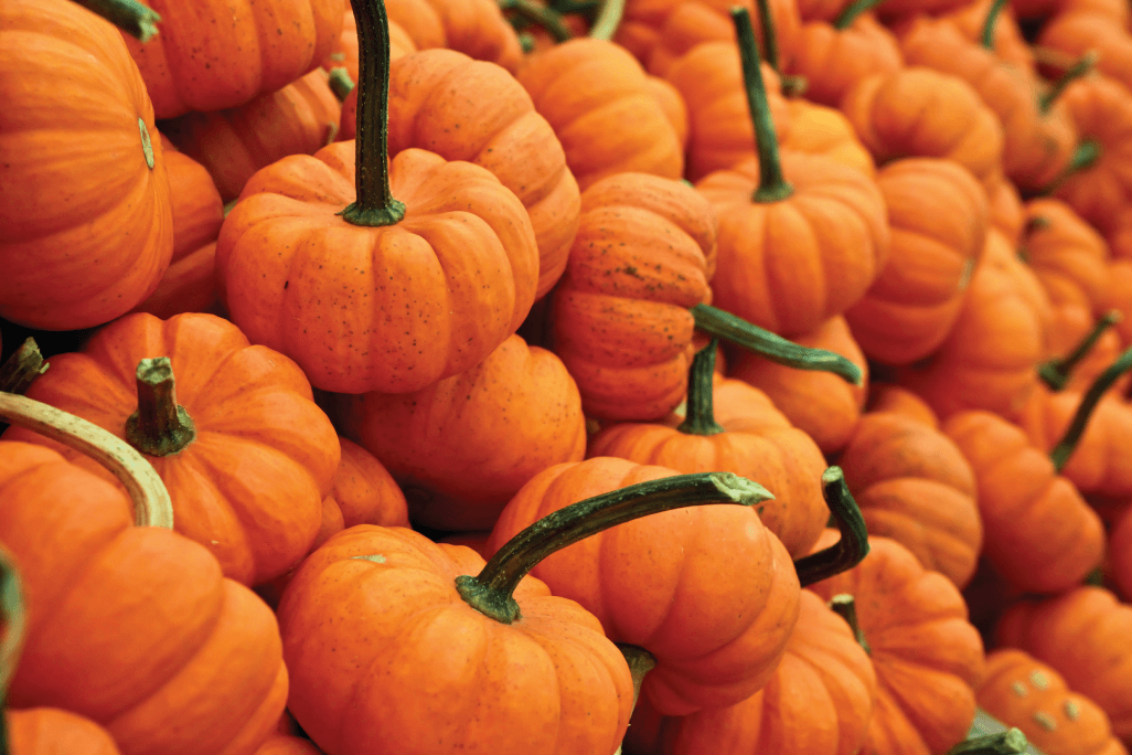 Small pumpkins